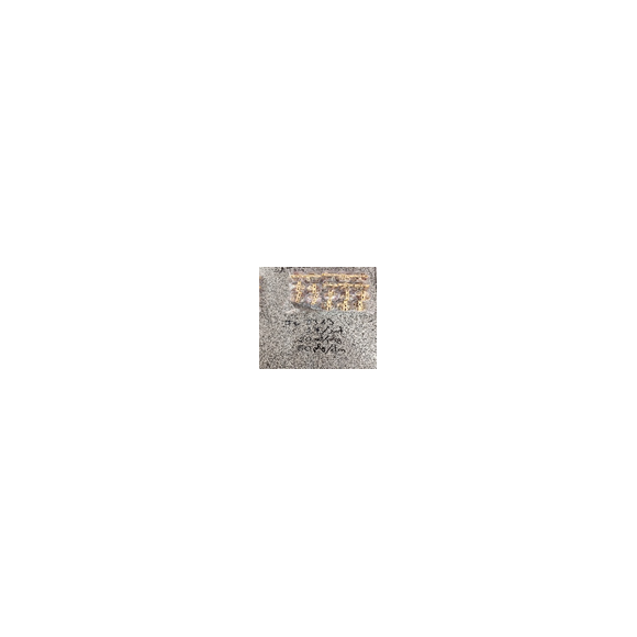 PINCE CRABE MINI SET 2 JB-2383